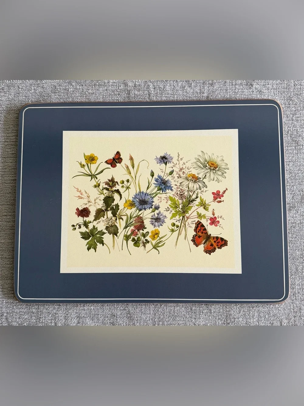 Set of Six Pimpernel English Butterfly Collection Cork-backed Placemats
